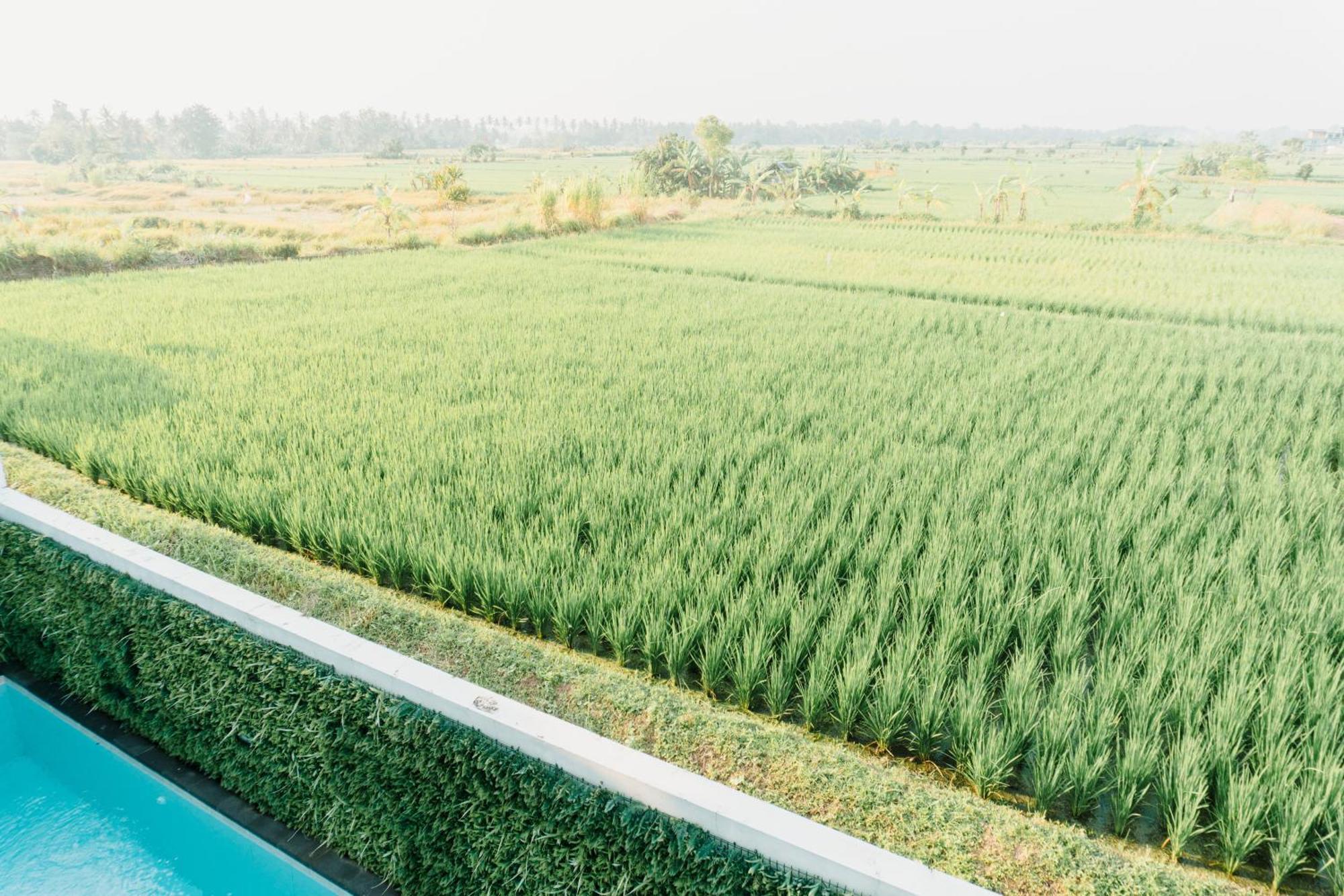 Ikin Villa Ubud