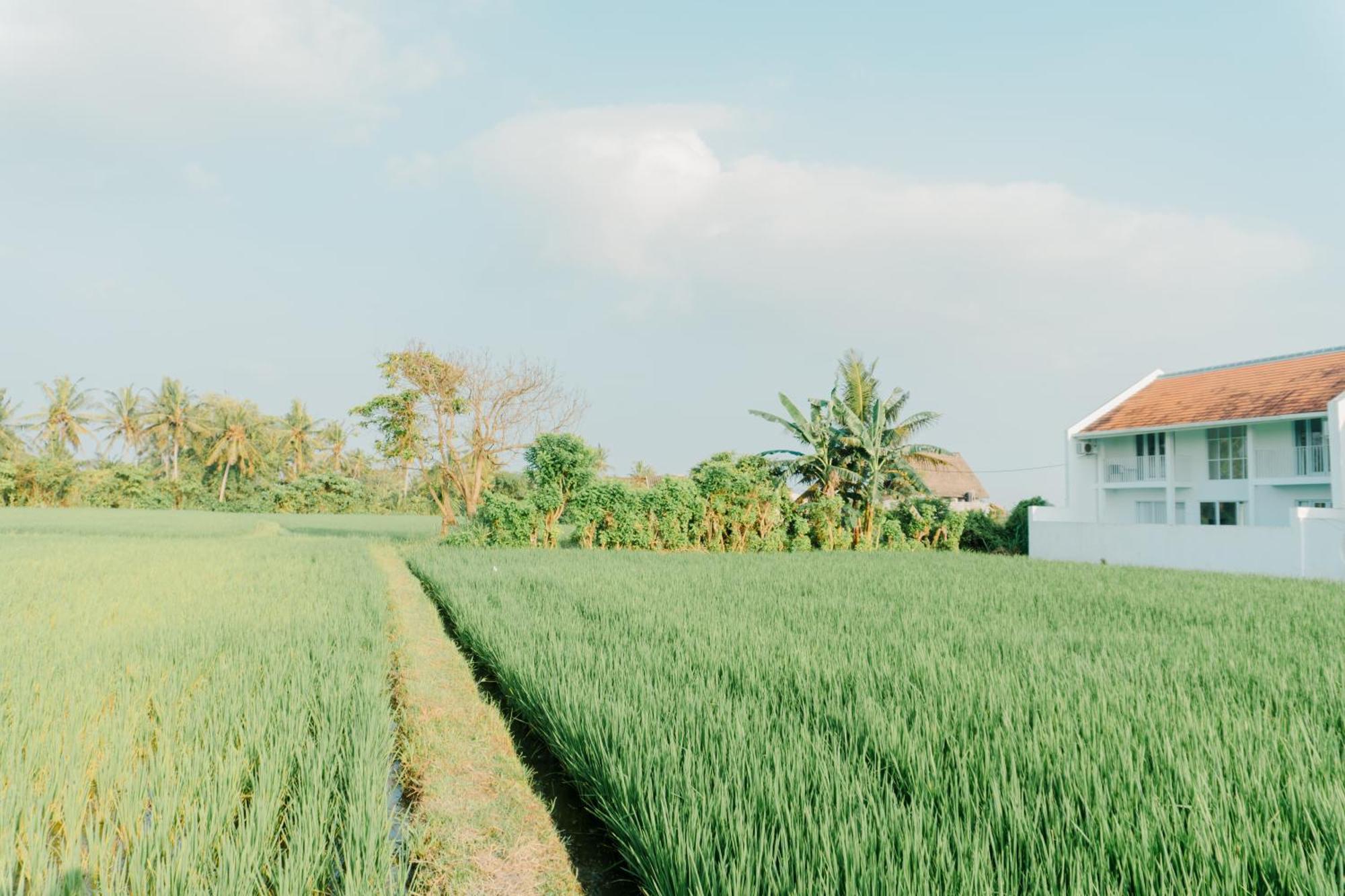 Villa Ikin Ubud